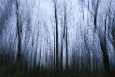 g3/46/604746/3/55089349.Ghostforeset3.jpg