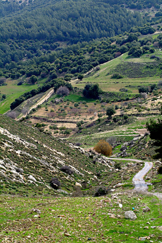 Al-Sarou area between Swaileh and Salt