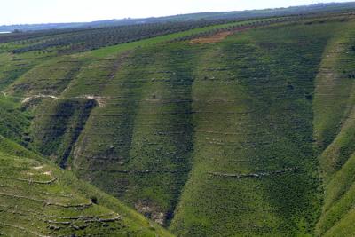 Yarmouk valley.JPG