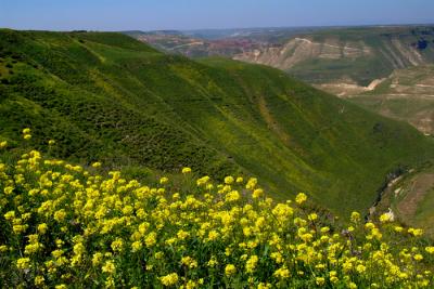 Yarmouk valley 5.JPG