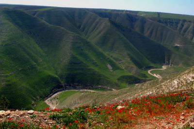 Yarmouk valley 6.JPG