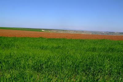 DSCF0014.JPG