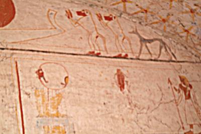 Wall Drawings 8.JPG
