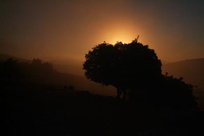 Sunrise  fog 2.JPG