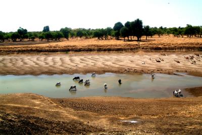  Dinder Natural Park / SUDAN