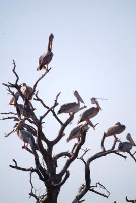 DSCF2075.JPG