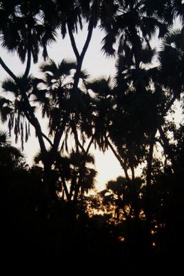 DSCF2006.JPG