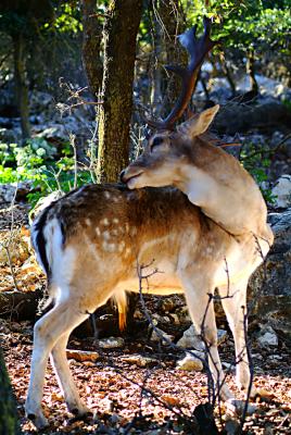 DSCF2430.JPG