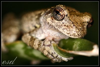 IMG_7950_web.jpg