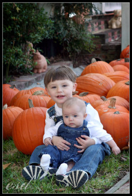 pumpkin_patch_07