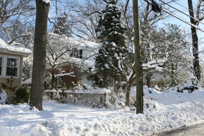 IMG_7418.JPG