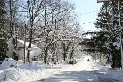IMG_7421.JPG