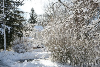 IMG_7423.JPG