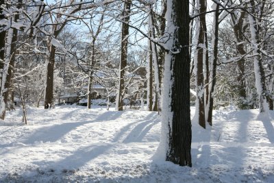 IMG_7428.JPG