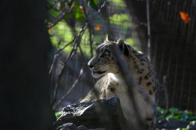 CRW_5896_RJ.JPG