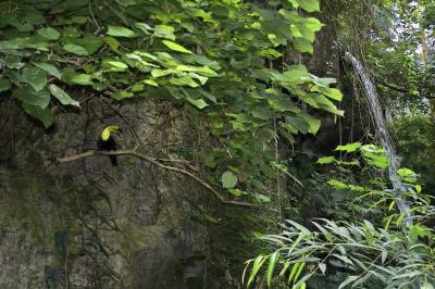 under the waterfall.jpg