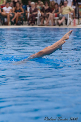 20080726 En Route vers Pkin - Equipe Olympique de nage synchronise  de Plongeon 0024.jpg