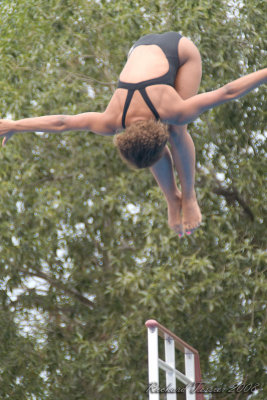 20080726 En Route vers Pkin - Equipe Olympique de nage synchronise  de Plongeon 0147.jpg