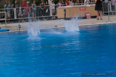 20080726 En Route vers Pkin - Equipe Olympique de nage synchronise  de Plongeon 0157.jpg