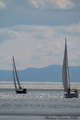 20080831 Cap  laigle La Malbaie - Course Le triangle 2008 0065.jpg