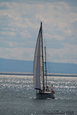 20080831 Cap  laigle La Malbaie - Course Le triangle 2008 0121.jpg