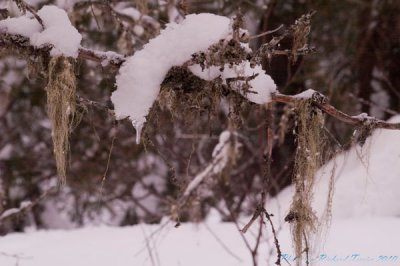 g3/46/651846/3/122458603.iWu1zgyU.jpg