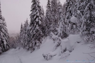 20090214 La valle des fantme - Parc national des Monts Valin  pict0014a.jpg