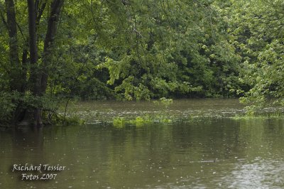 Parc des Milles-Iles pict0019.jpg