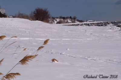 Paysage d'hiver, Isle-aux-Coudres