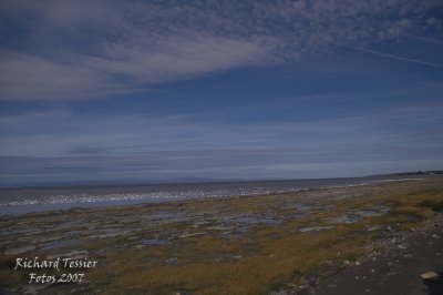 g3/46/651846/3/95171333.YVhXUj9a.jpg