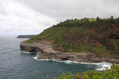 Kilauea Point, Kauai