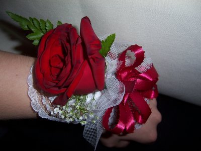 100_1301.jpg