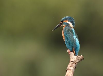 g3/46/749246/3/102787503.zHmanOvI.jpg