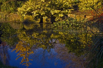 Late Autumn, Cheltenham