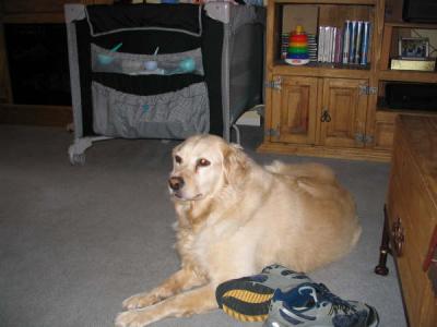 177_7735.JPG