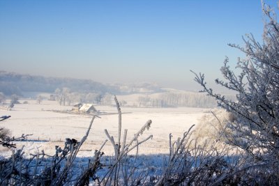_MG_2207270.jpg
