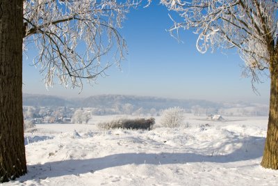 _MG_2212275.jpg