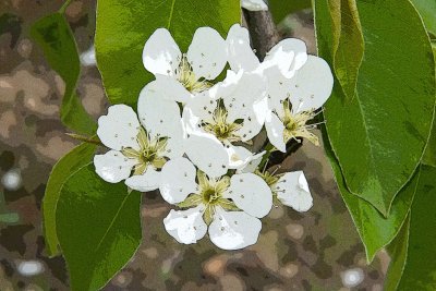 _mg_4226p35.jpg