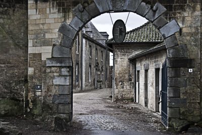 _MG_8617a.jpg