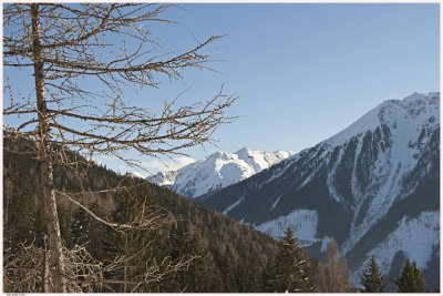 _MG_9479.jpg