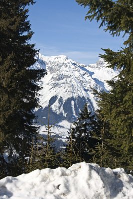 _MG_9483.jpg