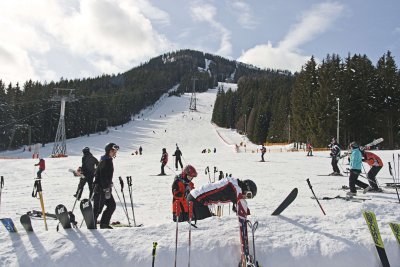 _MG_9506.jpg