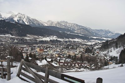 _MG_9533.jpg