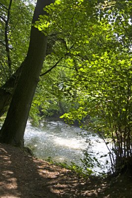 _MG_8265.jpg