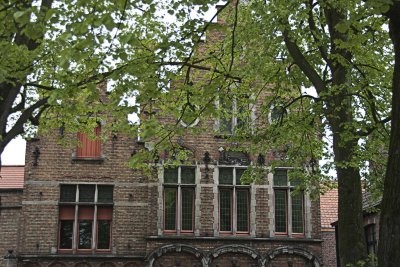 _MG_0239.jpg