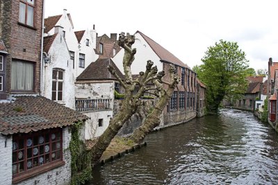 _MG_0248.jpg