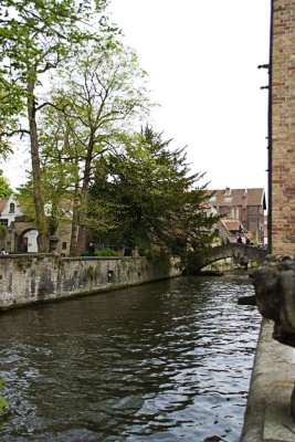 _MG_0519.jpg