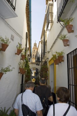 _MG_0740.jpg
