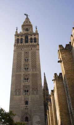 _MG_1121.jpg