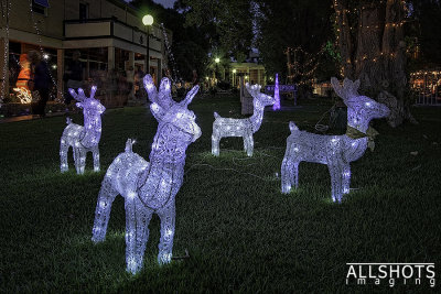 Reindeer_Illuminated.jpg